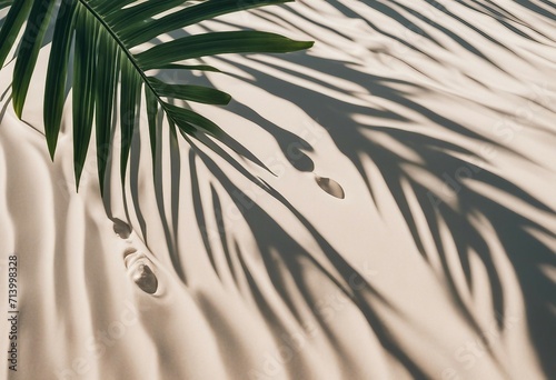Top view of water surface with tropical leaf shadow Shadow of palm leaves on white sand beach Beauti
