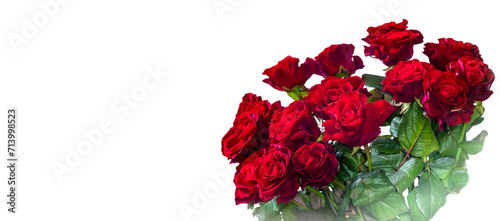 Bouquet of bright red roses on a white background.