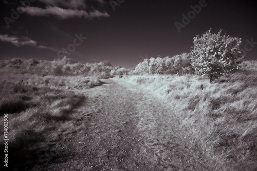 infrared photography