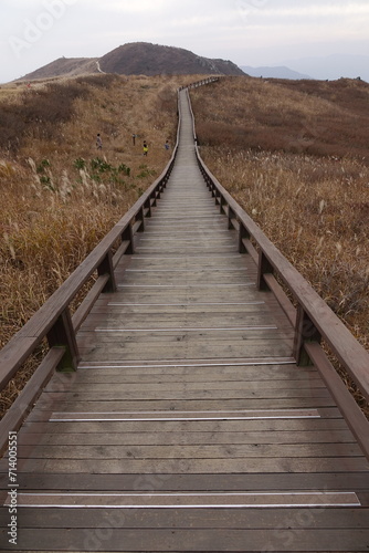 황매산 억새9