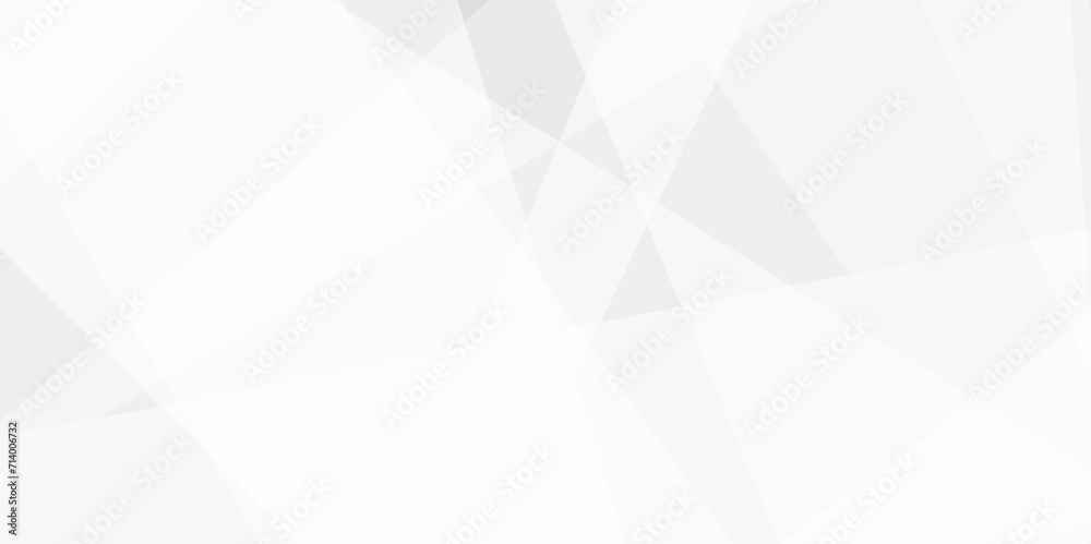 Abstract background with white and gray and geometric style with simple ...