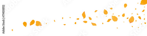 Yellow Petal Summer Vector Transparent Panoramic