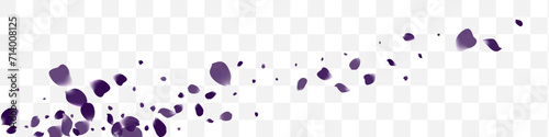 Purple Petal Spring Vector White Transparent