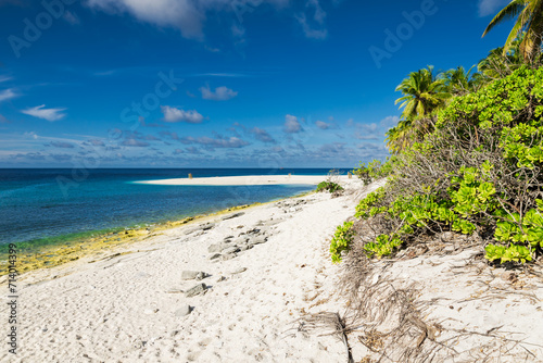 Fototapeta Naklejka Na Ścianę i Meble -  Tropical beach and quiet ocean on Maldives island. Tropical banner