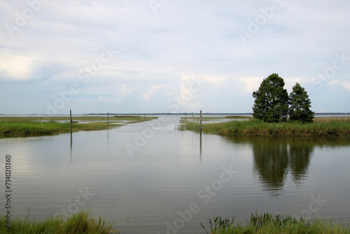 A view of the Florida Everglades