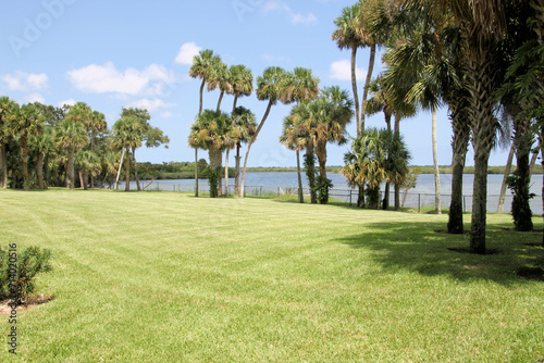A view of the Florida Everglades