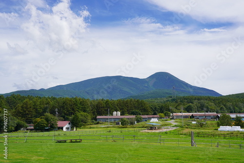 夏の長門牧場と蓼科山