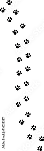 Paw print foot trail. Dog  cat paw print. Vector
