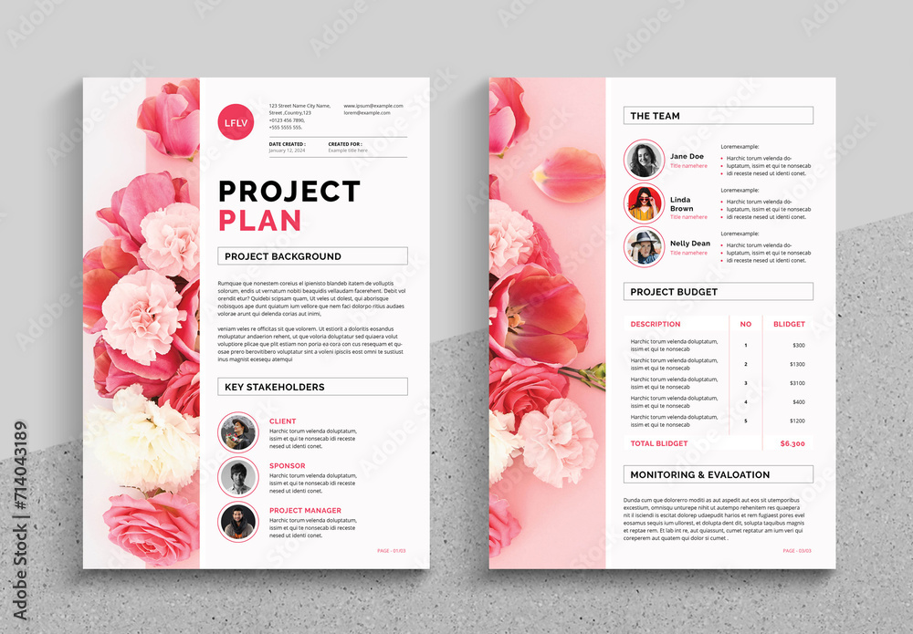 Project Plan Layout Stock Template | Adobe Stock