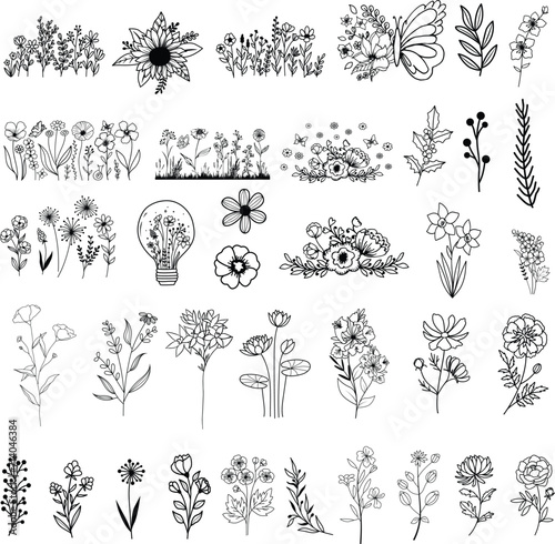 Fototapeta Naklejka Na Ścianę i Meble -  Wildflowers hand drawn, Flowers vector, Floral element illustration.
