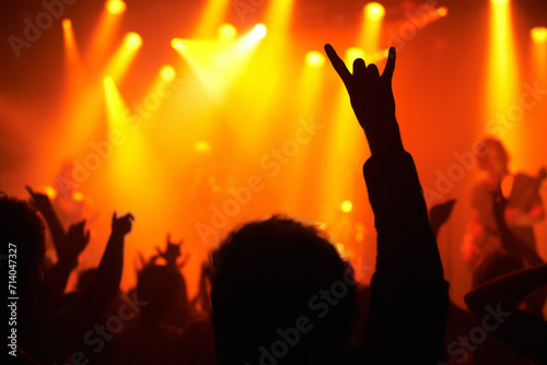 Nightclub, concert and audience with rock or sign for music, band and rave festival with silhouette, dancing or show. Disco, live event and performance with entertainment, crowd and rear view gesture