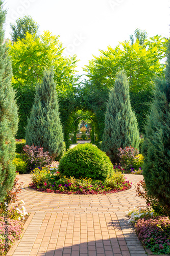 A garden composition with decoratively trimmed thuja bushes. Trimmed garden bushes