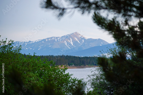 Snowy Mt Elbert overlooking Turquoise Lake with lodgepole pines at sunrise and light blue open sky