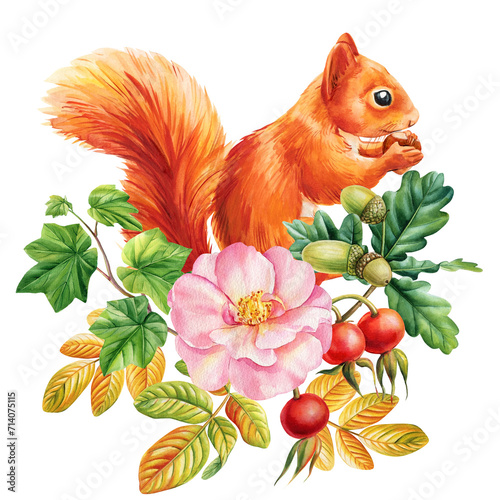 Squirrel and beautiful flowers on isolated white background, watercolor painting illustration, design poster, postcard