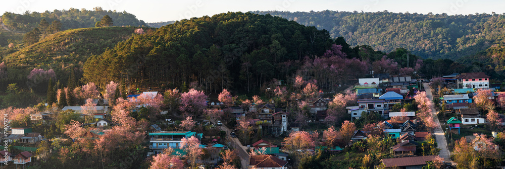 A community known as the Pink Village in Phu Hin Rong Kla National Park. Phitsanulok Province, Thailand