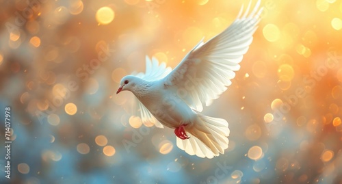 a white dove flying through the sky against a bright background