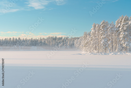 beautiful snowy winter landscape panorama with forest and sun. sun shines through snow covered trees, frozen lake © AdobeTim82
