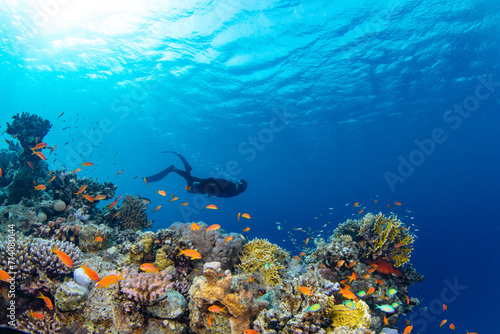 Fototapeta Naklejka Na Ścianę i Meble -  Freediver Swimming in Deep Sea With Sunrays. Young Man DIver Eploring Sea Life.