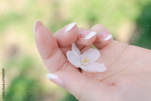 Delicate Touch - Cherry Blossom Petal in a Woman's Hand 桜の花びらと女性の手のひら