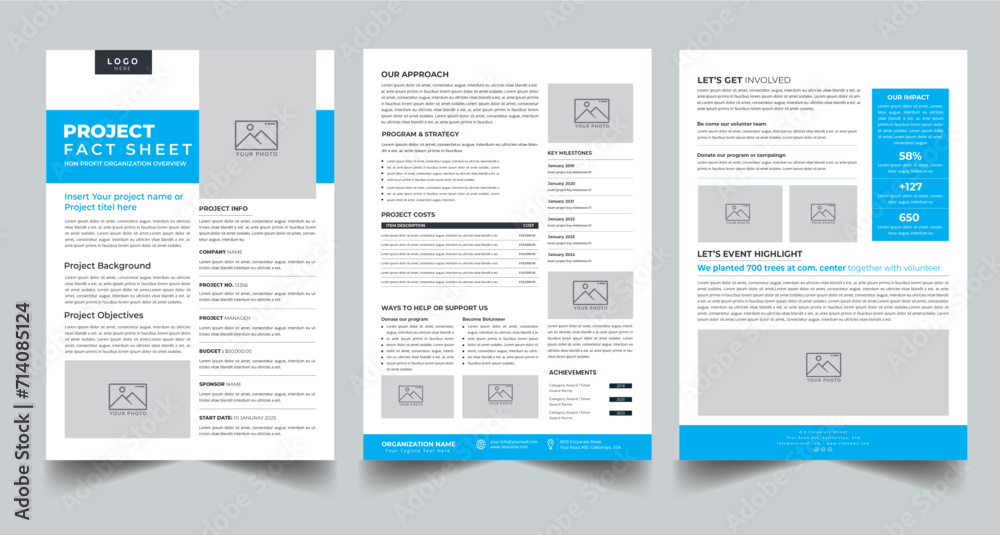 Project Fact Sheet Nonprofit Organization layout design template with 3 style design concept