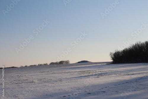 A snowy field with trees and a rainbow in the sky