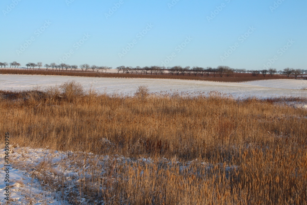 A field of grass and a body of water A field of grass and a body of water