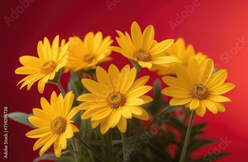 bouquet of yellow flowers on a red background close-up, postcard, holiday concept