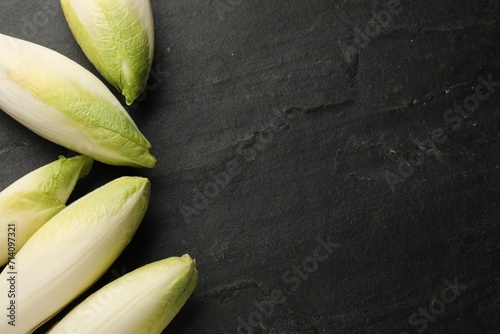 Fresh raw Belgian endives (chicory) on black table, top view. Space for text photo