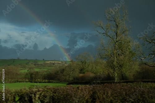 rainbow over the field