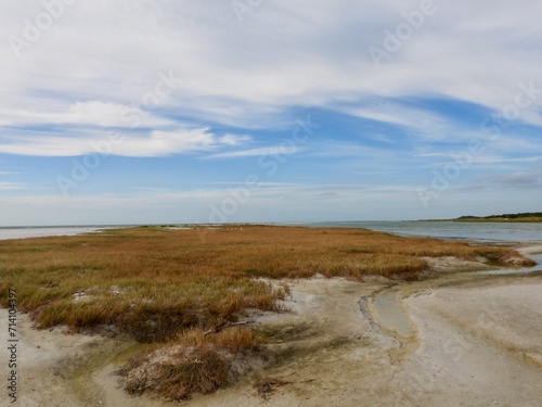 Fototapeta Naklejka Na Ścianę i Meble -  A beautiful photo of nature landscape North Beach at Fort De Soto in St. Petersburg, Florida.