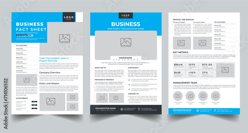 Business Fact Sheet, Nonprofit Organization Fact Sheet layout template photo