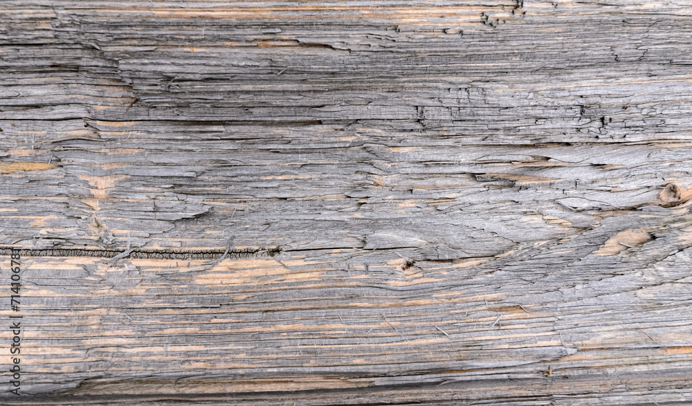 Wooden background, abstract wood texture and pattern of a tree Wooden background, abstract wood texture and pattern of a tree