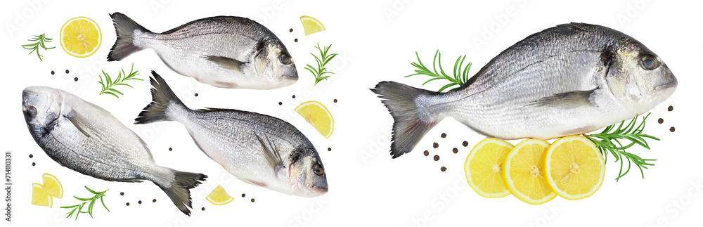 Fish dorado isolated on white background with full depth of field. Top view. Flat lay Fish dorado isolated on white background with full depth of field. Top view. Flat lay