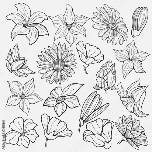 Fototapeta Naklejka Na Ścianę i Meble -  Minimalist hand-drawn botanical flower line art. Black flower vector graphics are ideal for pattern, invitations, date cards, wallpapers, save the date cards, and presentation backgrounds.