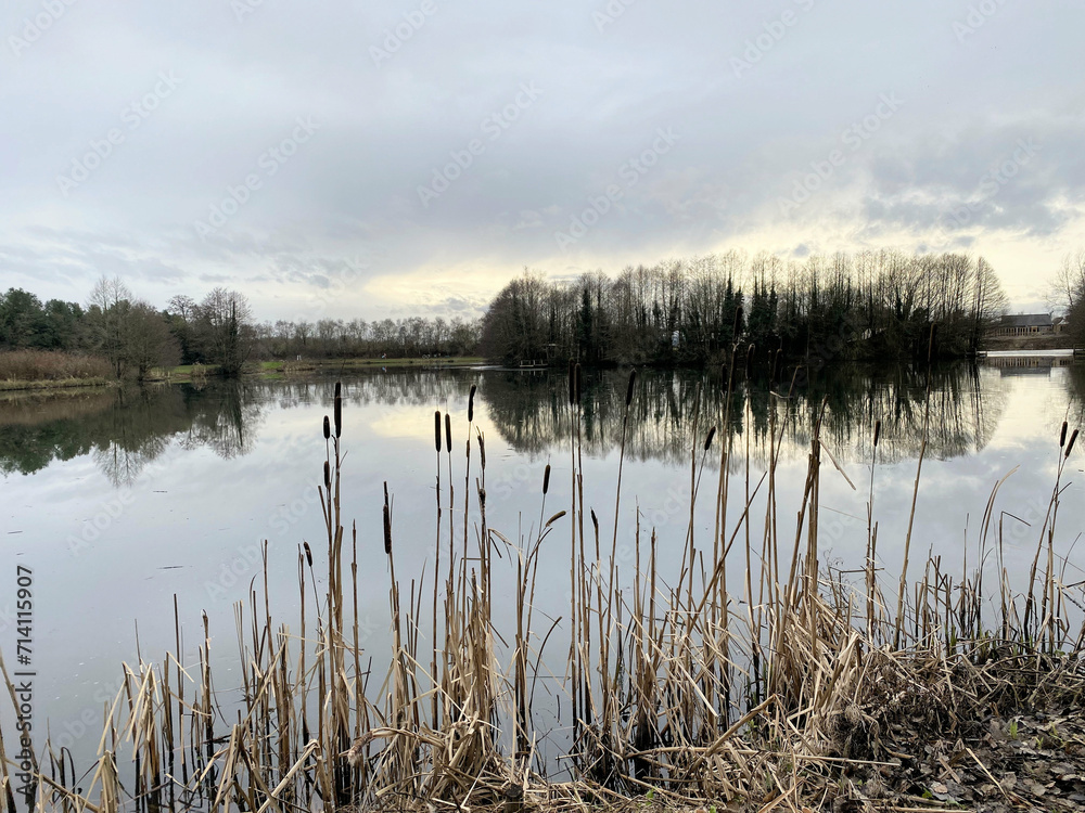 A view of Alderford Lake in Shropshire in the winter A view of Alderford Lake in Shropshire in the winter