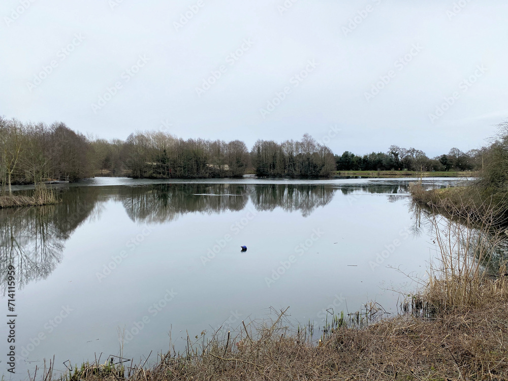 A view of Alderford Lake in Shropshire in the winter A view of Alderford Lake in Shropshire in the winter
