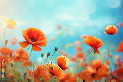 poppies, floral background. summer red flowers. nature. fragile, brittle flowers. © MaskaRad