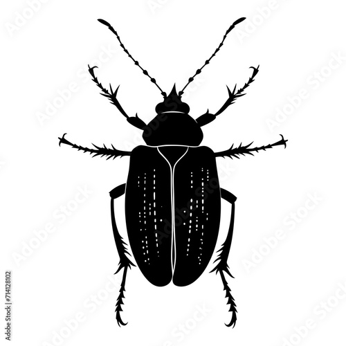 Silhouette insect or bug full body black color only