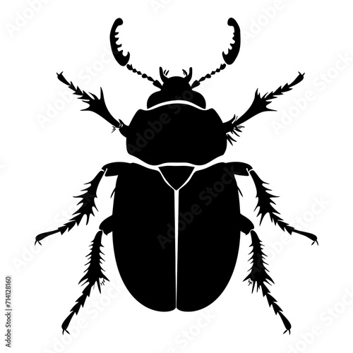 Silhouette insect or bug full body black color only