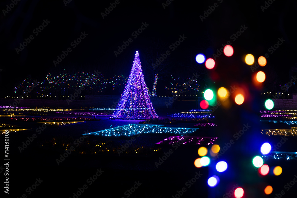 Field of Christmas lights with light tree in the middle