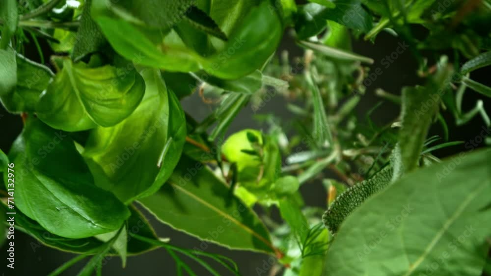 Super slow motion of falling and rotating fresh herbs. Ultimate perspective and motion. Filmed on high speed cinema camera, 1000 fps. Super slow motion of falling and rotating fresh herbs. Ultimate perspective and motion. Filmed on high speed cinema camera, 1000 fps.