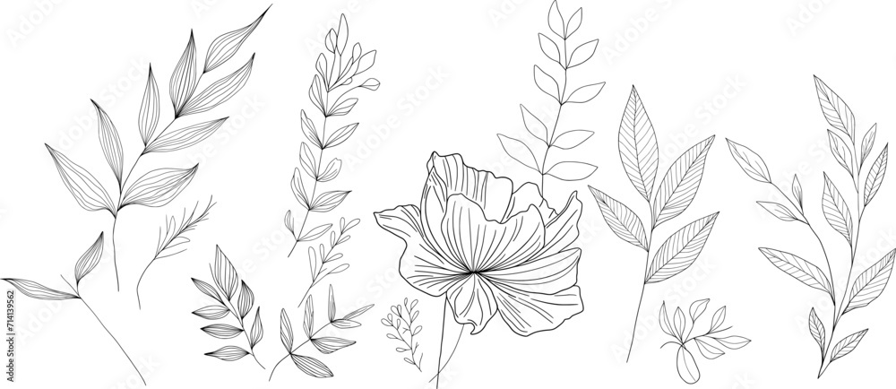 Fototapeta premium Vector floral illustration. Hand drawn botanical flowers and leaves