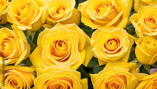 yellow roses branches background 