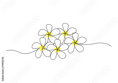 Plumeria flowers in continuous one line art drawing. Frangipani blossom. Vector illustration isolated on white. 