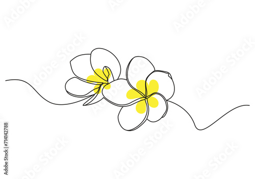 Plumeria flowers in continuous one line art drawing. Frangipani blossom. Vector illustration isolated on white. 