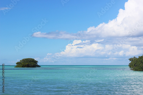 Seascape with mangrove trees and clouds on blue sky in the Caribbean © Tatiana