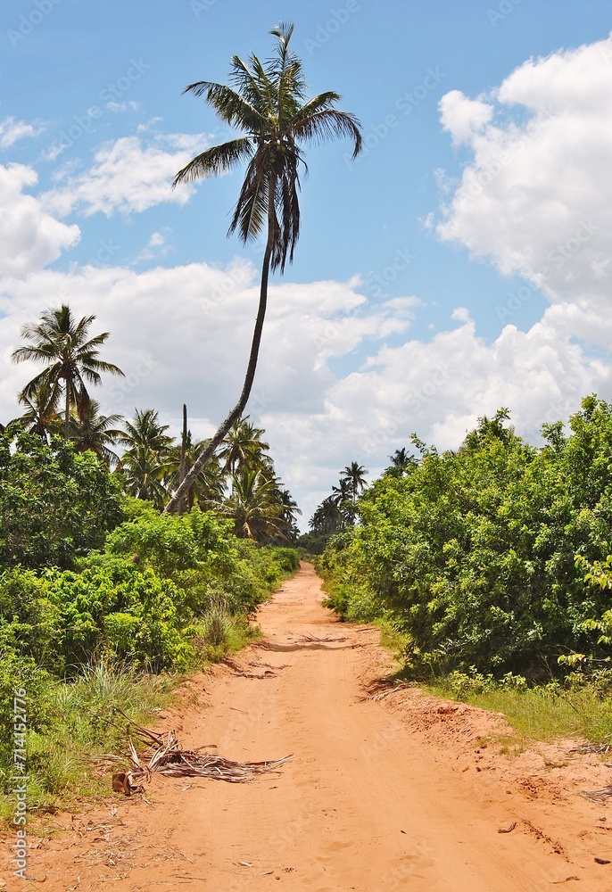 Road through rural Inhambane in Mozambique Road through rural Inhambane in Mozambique