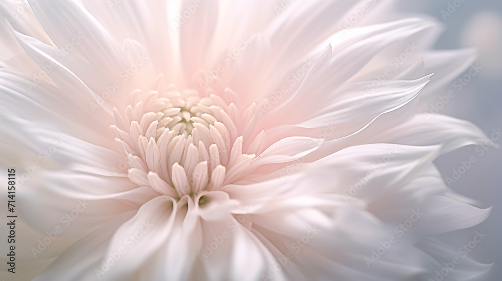 Super macro flowers illuminated by directional light, revealing intricate textures and a translucent beauty that captures the essence of nature in close-up detail.