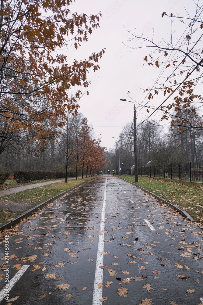 two mounted policemen riding into the distance on horseback along the road in autumn during the rain in a city park
