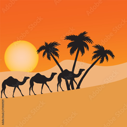 Camels walk in the deser